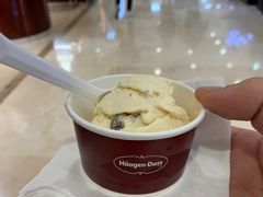 -哈根达斯(石家庄北国店)