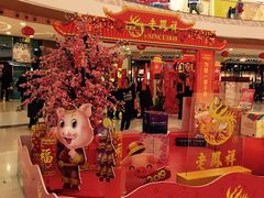 -万达广场(泰安泰山店)