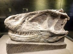 -自贡恐龙博物馆