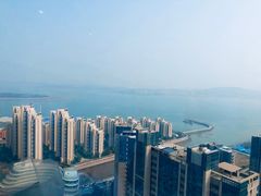 -柴犬小屋·柴餐厅·狗咖食堂(金鼎广场店)