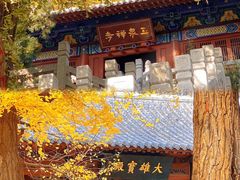 -泰山风景名胜区