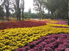 -北京植物园-展览温室
