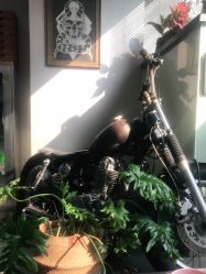 -極致刺青TATTOO STUDIO 私人订制