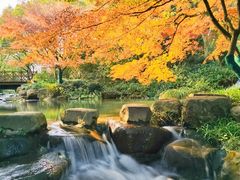 -中国茶叶博物馆(双峰馆区)