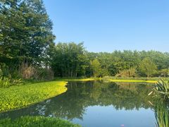 -桤木河湿地公园