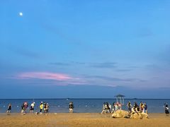 -碧海金沙