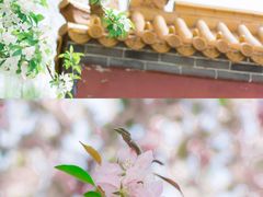 -郑州中国绿化博览园