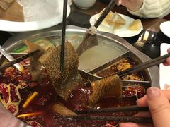 -满禾林火锅(丹东路店)