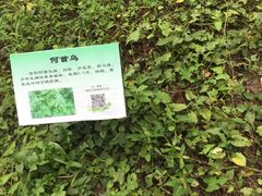 -昆山城市生态森林公园