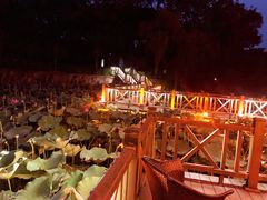 -上海市保健医疗中心