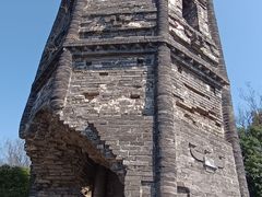 -上海佘山国家森林公园天马山园