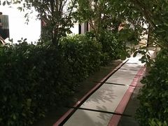 -外滩5号