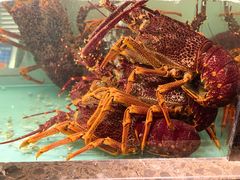 -甄御•海鲜新青岛菜(麦岛店)