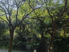 -晓港公园