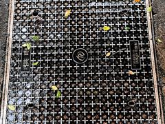 -天鹅湖体育公园