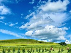 -敕勒川草原