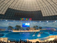 -泉城欧乐堡海洋极地世界