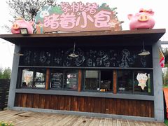-田园东方蜜桃村的田野营地