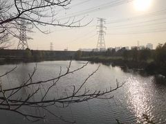 -九里河湿地公园