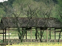 -思溪延村