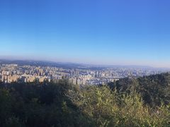 -长虫山生态公园风景林