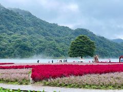 -广州市石门国家森林公园