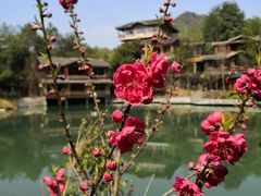 -仙店农庄(湖景农庄餐厅)