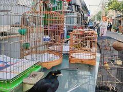 -戴月轩(琉璃厂东街店)