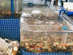 -半岛听涛蒸汽海鲜自助(K11店)