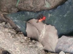 -蜀冈西峰生态公园