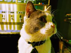 -后院儿·精酿·塔罗Happy Bar