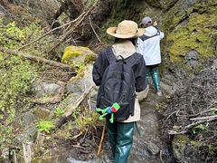 -峡谷浮石林景区