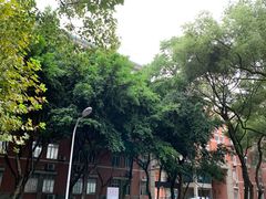 -四川大学(望江校区)