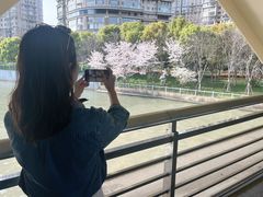 -小小花园 Le.Petit.Jardin(西岸滨江店)