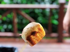 -崇明东平国家森林公园烧烤房车露营地