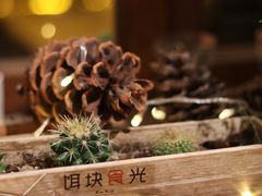 -饵块食光·云南有机手作饵块