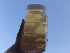 -老刺参海鲜酒楼