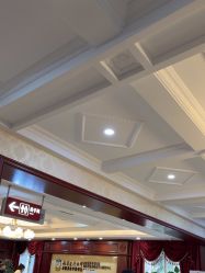 -南京医科大学友谊整形外科医院