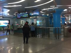 -潘家园(地铁站)