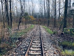 -合肥滨湖国家森林公园