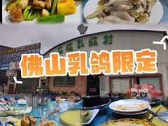 -石岐乳鸽村(桥观坊南四巷店)