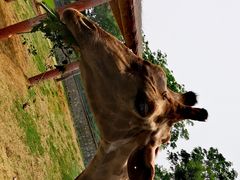 -石家庄市动物园