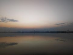 -瑶湖郊野森林公园