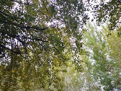 -旺仔家常菜生煎包(马端街店)