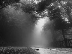 -梧桐山风景名胜区