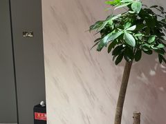 -W·24H茶楼·棋牌·掼蛋(望京店)