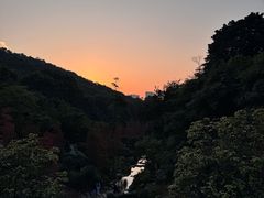 -云溪植物园