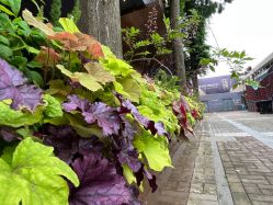 -花隐·美芙炫海菲秀皮肤管理中心