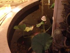 iphone_upload_pic-浣花锦绣(杜甫草堂店)