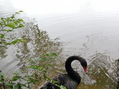 -钟山体育运动公园